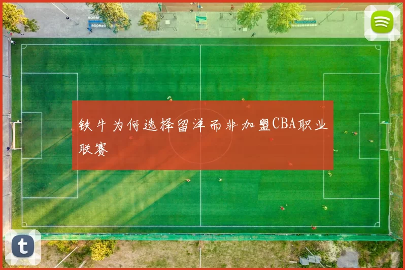 铁牛为何选择留洋而非加盟CBA职业联赛