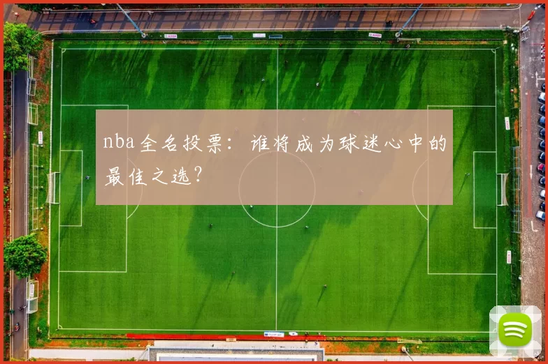 nba全名投票：谁将成为球迷心中的最佳之选？