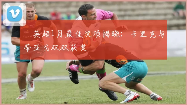 ​英超1月最佳奖项揭晓：卡里克与蒂亚戈双双获奖