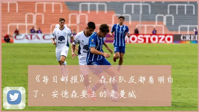 《每日邮报》：森林队友都看明白了，安德森要去的是曼城